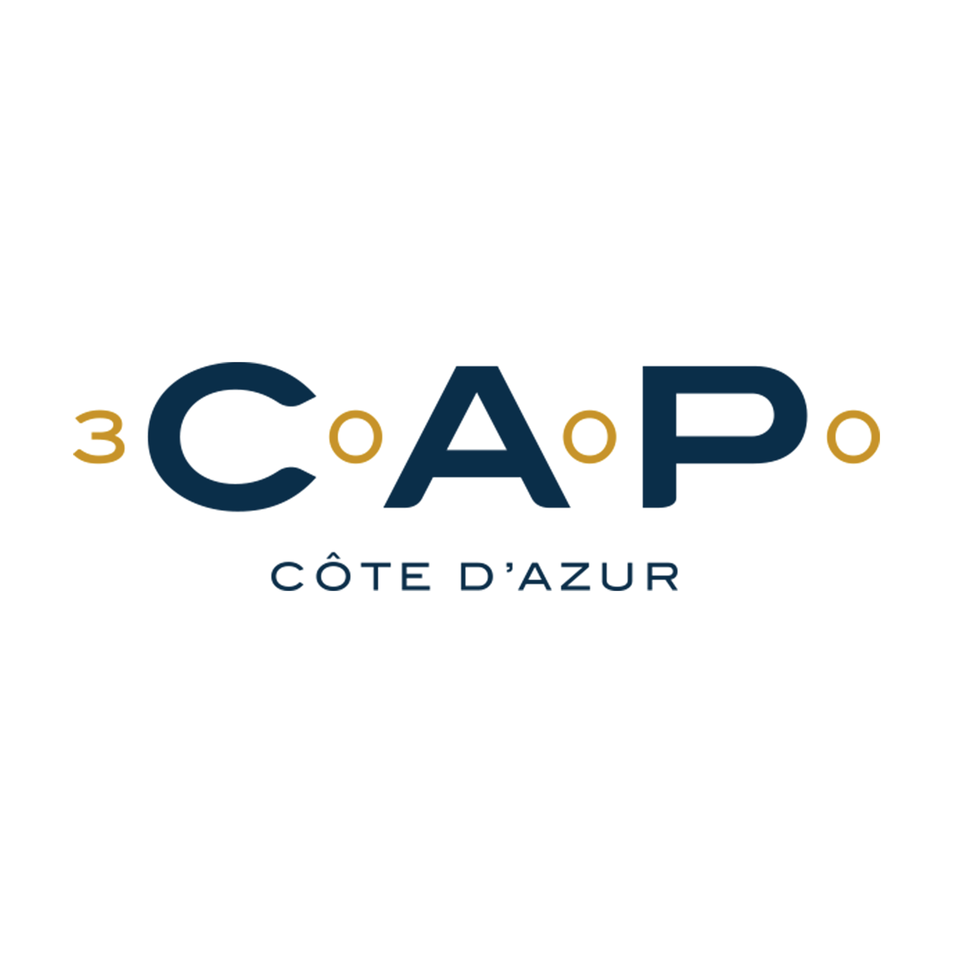 cap-3000-logo